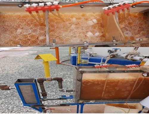 TRATTAMENTO DELLE ACQUE REFLUE PETROLCHIMICHE MEDIANTE LA TECNOLOGIA DEL REATTORE A BIOFILM A LETTO MOBILE