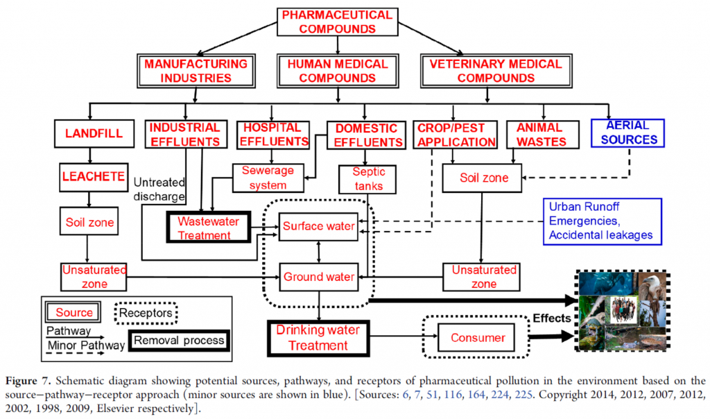 Fonti e vie di diffusione della contaminazione farmaceutica
